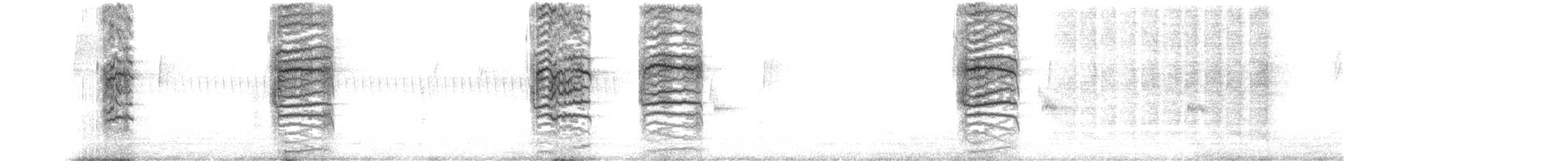 Поплітник каролінський - ML620653329