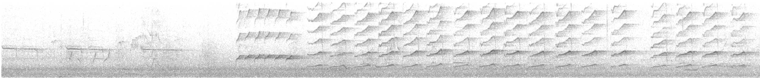 Weißstirn-Schwatzvogel - ML620654016