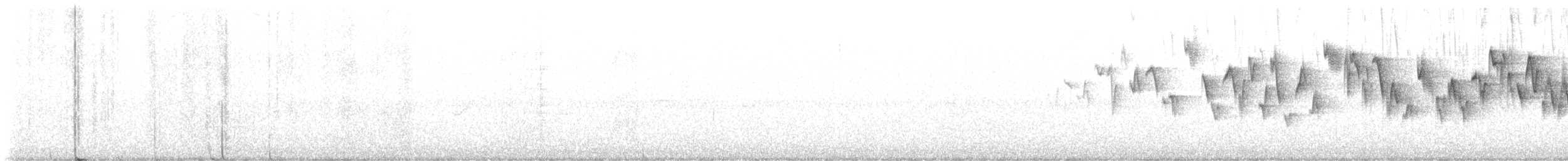 Troglodyte de Baird - ML620656818