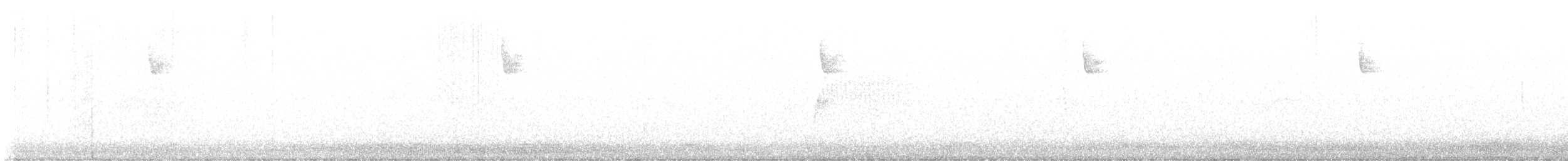 Тауї плямистий - ML620660851