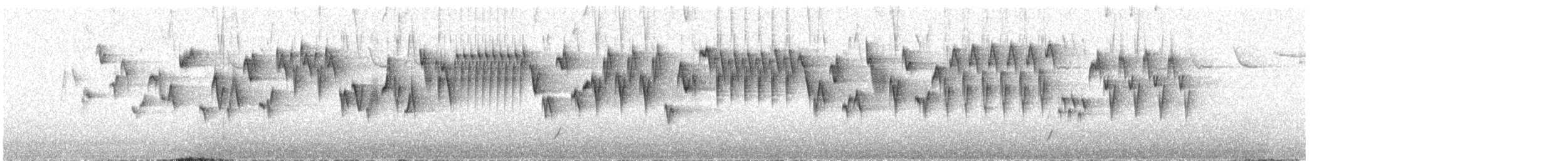 Troglodyte de Baird - ML620661435