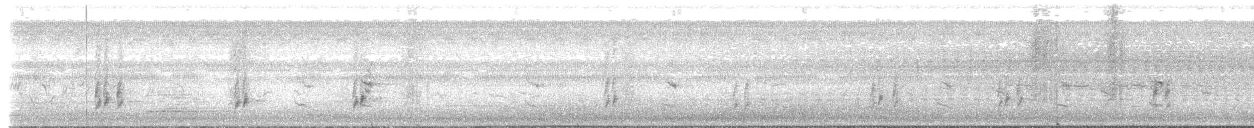Поплітник каролінський - ML620669163