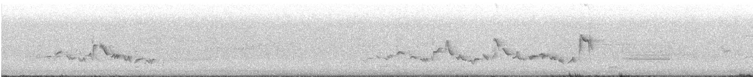 Eastern Warbling Vireo - ML620670681