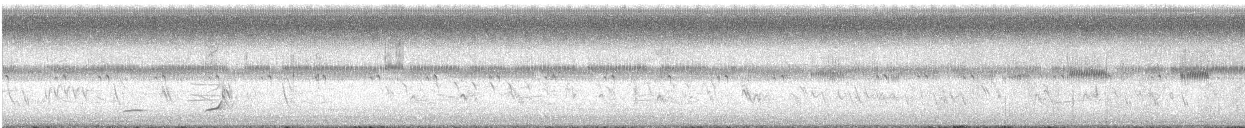 שליו אמריקני - ML620671253