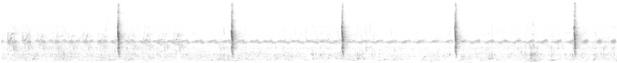 Cuitlacoche Ocelado - ML620672858