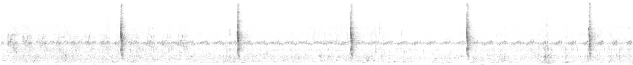 Ocellated Thrasher - ML620672858