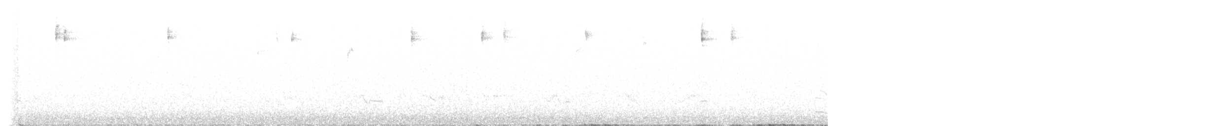 Black-throated Gray Warbler - ML620674487