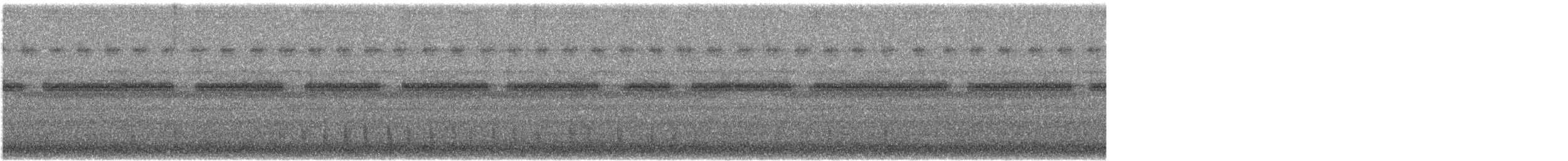 קוקיה צהובת-מקור - ML620675309