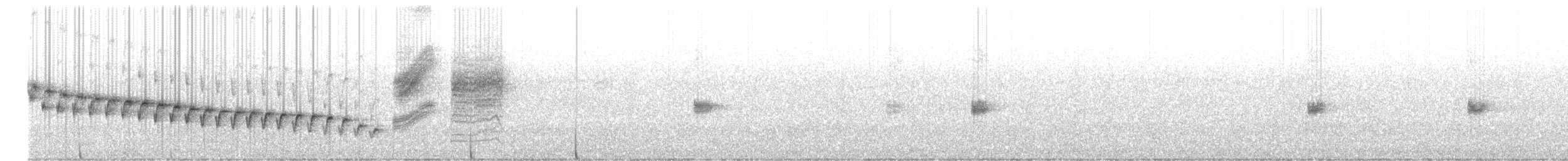 Canyon Wren - ML620675418