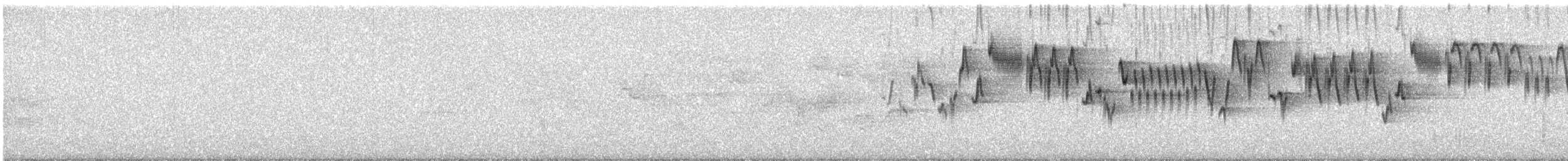Troglodyte de Baird - ML620676064