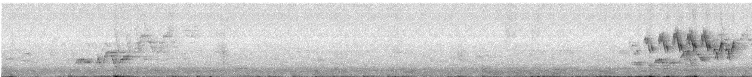 Дрізд-короткодзьоб Cвенсона - ML620677667