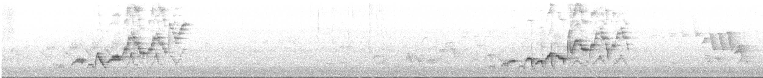 Дрізд-короткодзьоб Cвенсона - ML620681137
