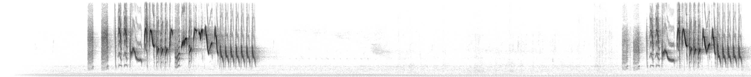 Troglodyte familier (groupe aedon) - ML620681878