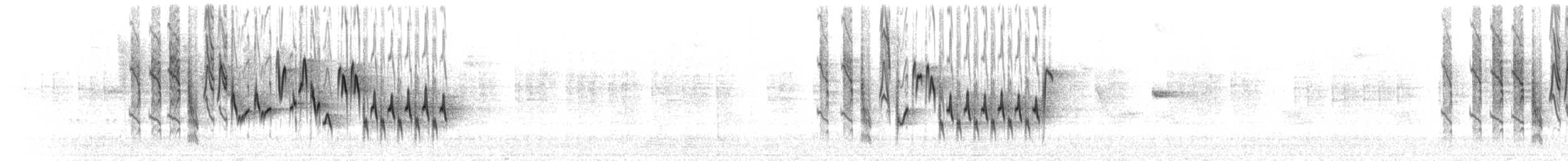 Troglodyte familier (groupe aedon) - ML620682481