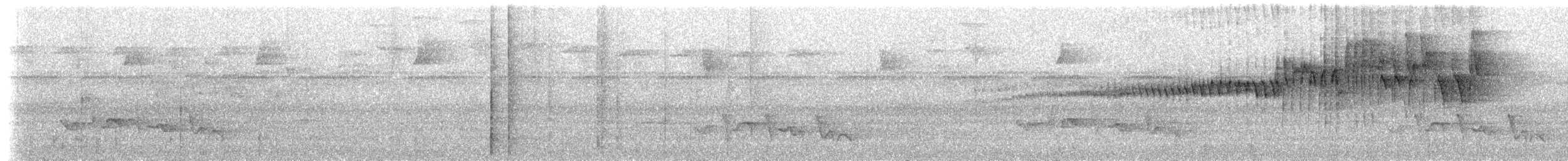 Paruline triligne (tristriatus/baezae) - ML620682736