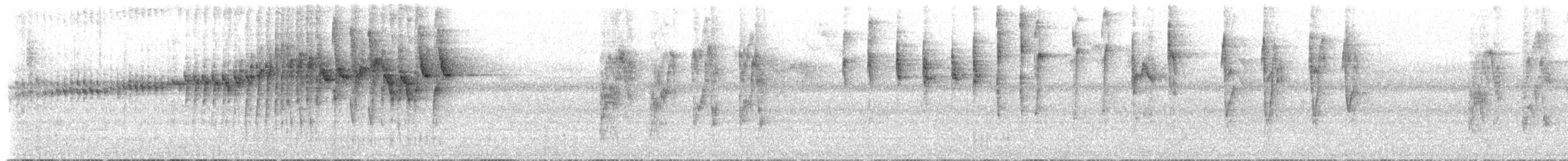 Paruline triligne (tristriatus/baezae) - ML620682751