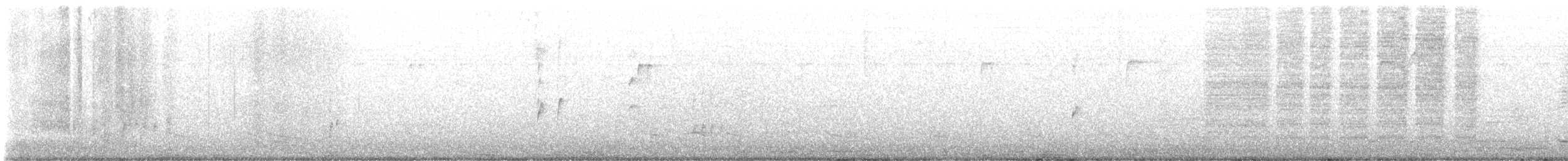 Каролинский крапивник [группа ludovicianus] - ML620684951