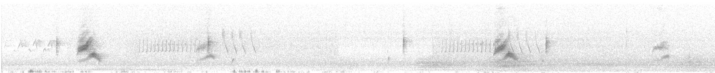 Дрізд-короткодзьоб канадський - ML620687419