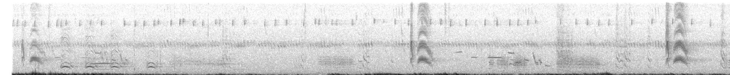 Серогрудый тиранн - ML620690164