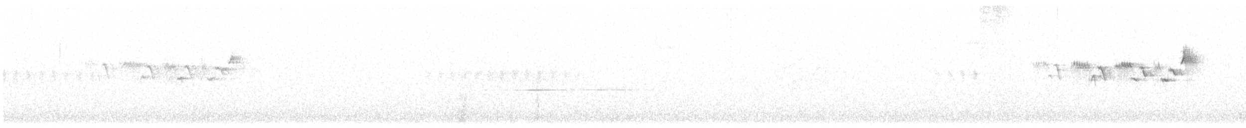 雑種 タウンゼンドアメリカムシクイ ｘ キガシラアメリカムシクイ - ML620693836