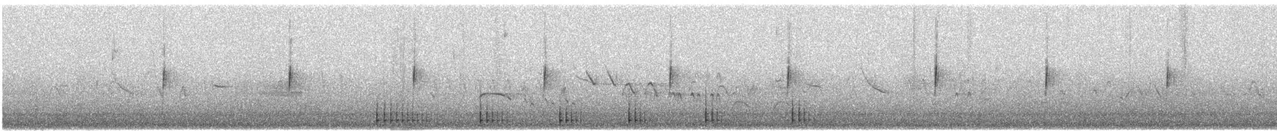 Chupasavia Oscuro - ML620694441