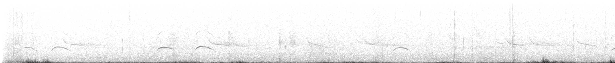 Braunmantel-Austernfischer - ML620698479