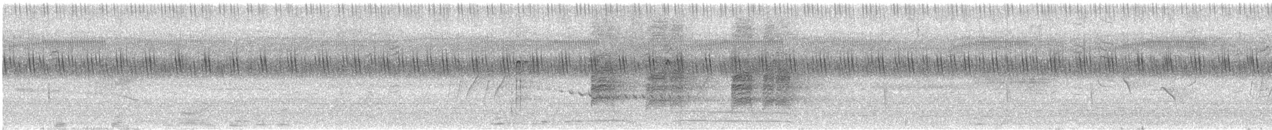 פרנקולין שחור - ML620701182