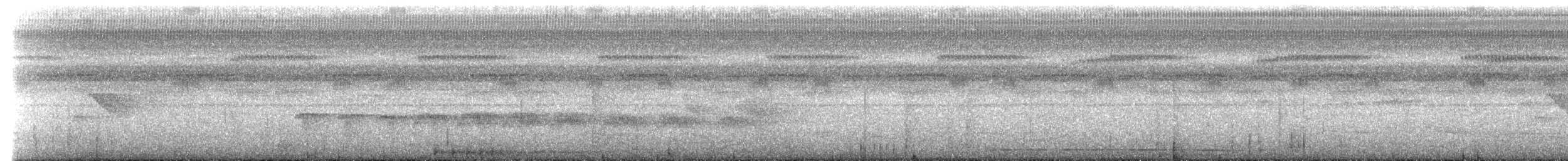 Rotbrustpipra [striolatus-Gruppe] - ML620703813