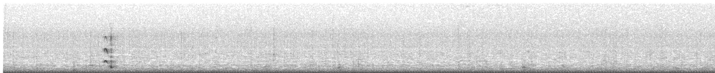 Tinamou élégant - ML620706903
