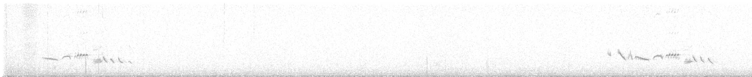 コシジロイソヒヨドリ - ML620709765