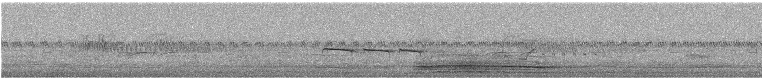 Northern Beardless-Tyrannulet - ML620714608