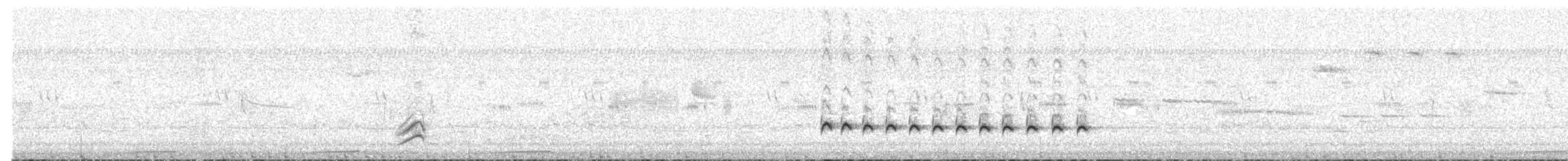 Ictérie polyglotte - ML620715644