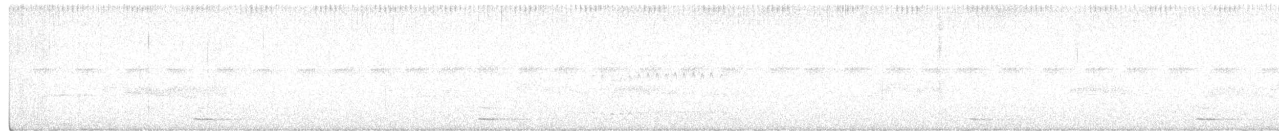 kulíšek mexický - ML620716768