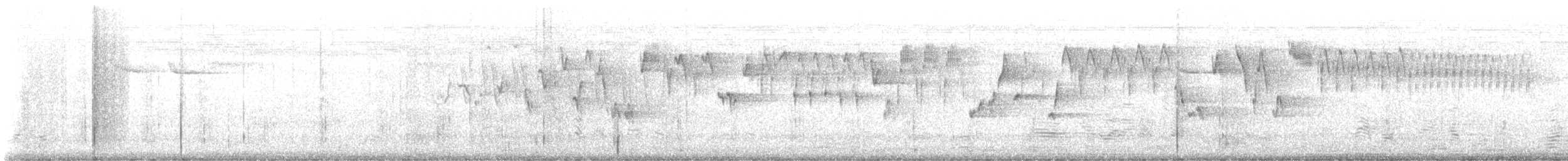 Волоочко кордильєрське - ML620717318