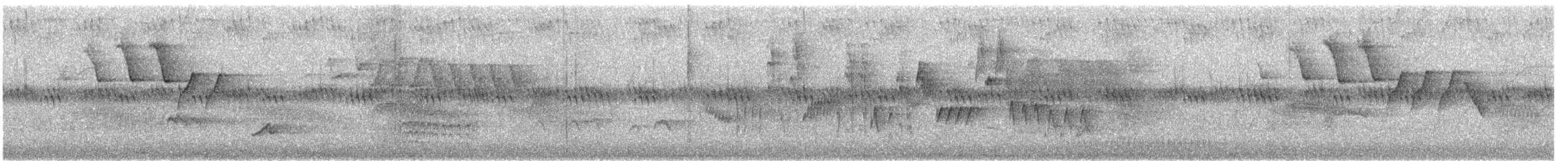 hvitbrystspettmeis (lagunae gr.) - ML620718213