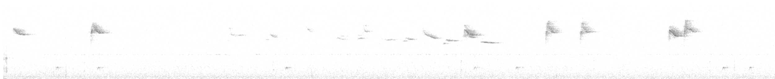 Shear-tailed Gray Tyrant - ML620718581