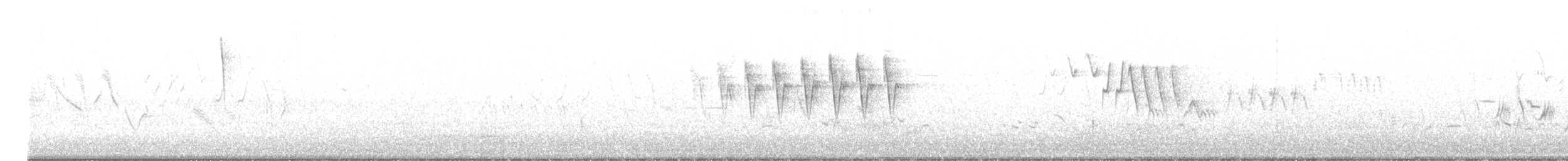 Wilson's Warbler - ML620718600