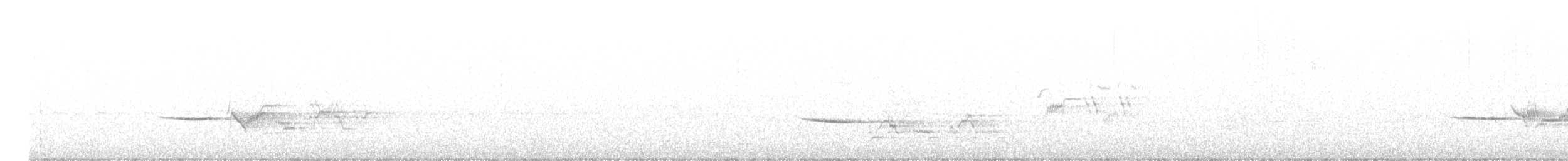 Дрізд-короткодзьоб плямистоволий - ML620719155