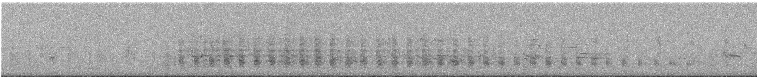 chřástal atlantický (ssp. saturatus/scottii) - ML620719475