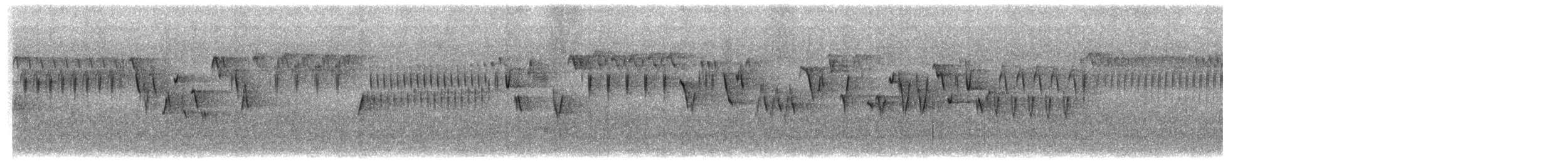 Troglodyte de Baird - ML620724364