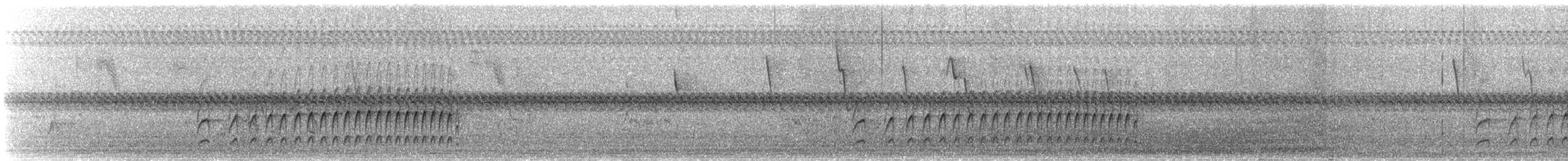 Graubrust-Dickichtschlüpfer - ML620726268