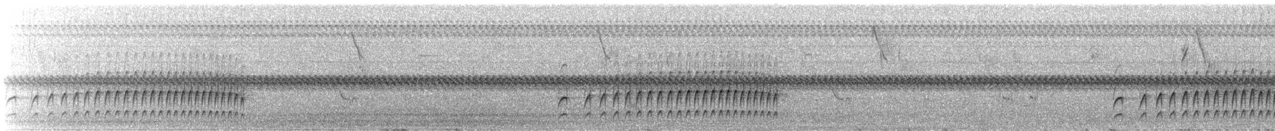 Synallaxe cendré - ML620726269