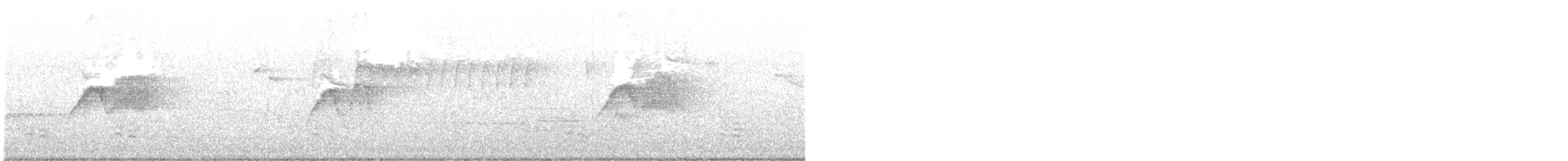 Светлобрюхий фиби - ML620727178