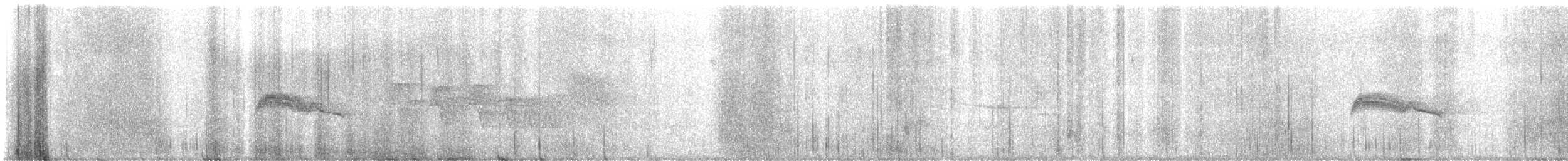Western Wood-Pewee - ML620728144