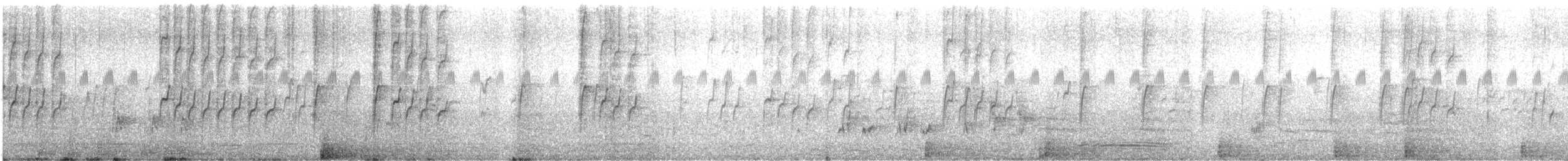 Sonnenamadine (phaeton) - ML620729434