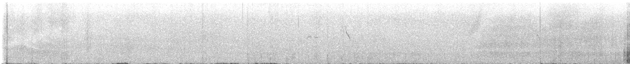 Western Yellow Wagtail - ML620734654