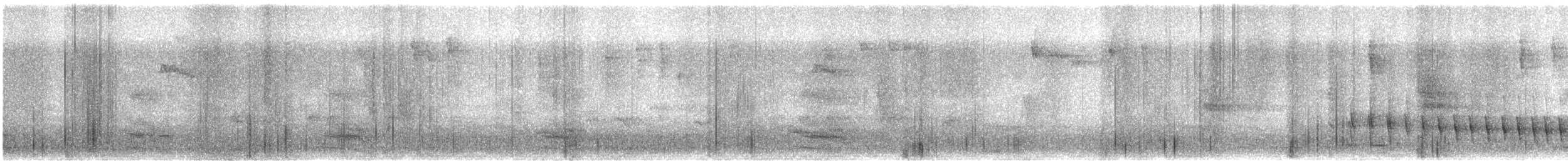 Lewin's Honeyeater - ML620734754