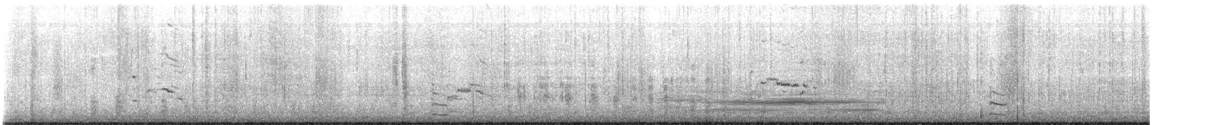 Albatros à queue courte - ML620737788