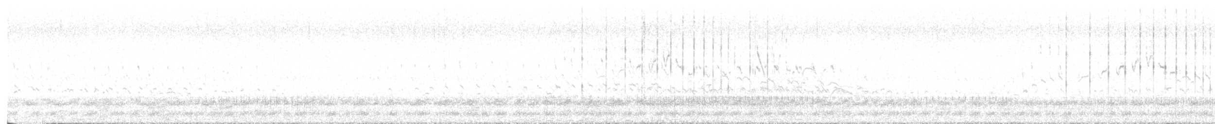 Croccolone - ML620739115