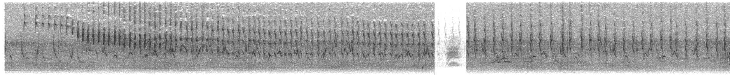 Paruline des bambous (chiriquensis) - ML620740055